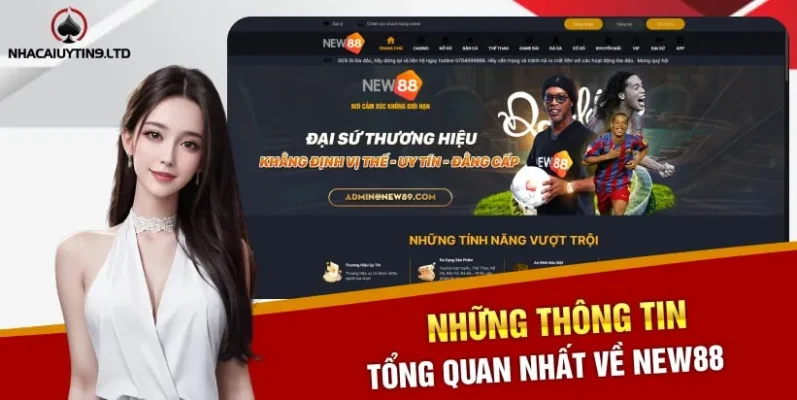 Những thông tin tổng quan nhất về New88