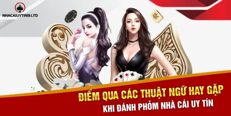 Điểm qua các thuật ngữ hay gặp khi đánh phỏm nhà cái uy tín