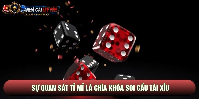 Sự quan sát tỉ mỉ là chìa khóa soi cầu tài xỉu