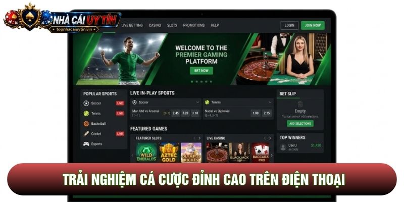 Trải nghiệm cá cược đỉnh cao trên điện thoại Trải nghiệm cá cược đỉnh cao trên điện thoại