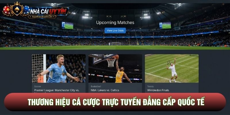 Thương hiệu cá cược trực tuyến đẳng cấp quốc tế Thương hiệu cá cược trực tuyến đẳng cấp quốc tế